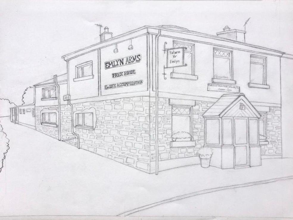 Emlyn Arms Bed & Breakfast Llanarthney ภายนอก รูปภาพ