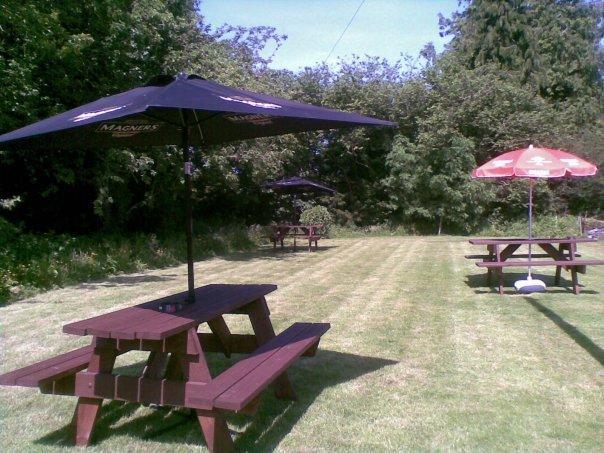 Emlyn Arms Bed & Breakfast Llanarthney ภายนอก รูปภาพ