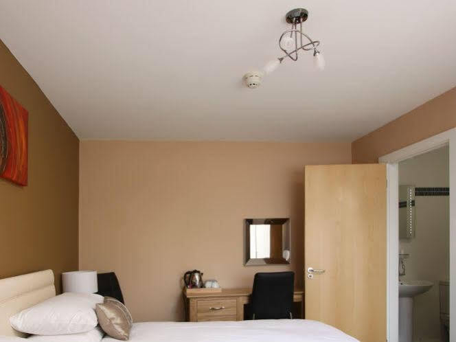 Emlyn Arms Bed & Breakfast Llanarthney ภายนอก รูปภาพ